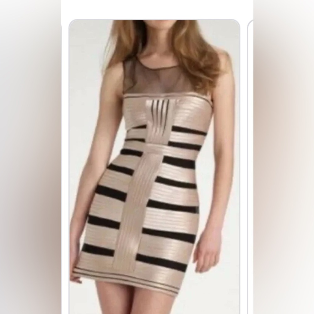 BCBG satin and mesh dress.